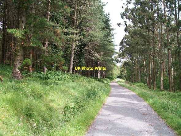 Photo 6"x4" The view east along the Hilltown Road driveway Castlewellan c2010