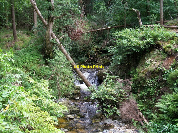 Photo 6"x4" The Sprinkwee at Hore's Bridge Newcastle\/J3732 c2010