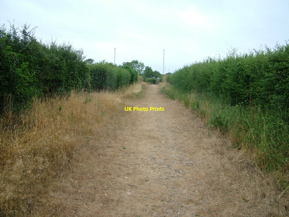 Photo 6"x4" Public Restricted Byway 39 Ware\/TL3614 c2010