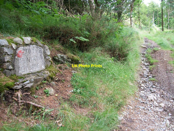 Photo 6"x4" Path leading to the summit of Curraghard Newcastle\/J3732 c2010