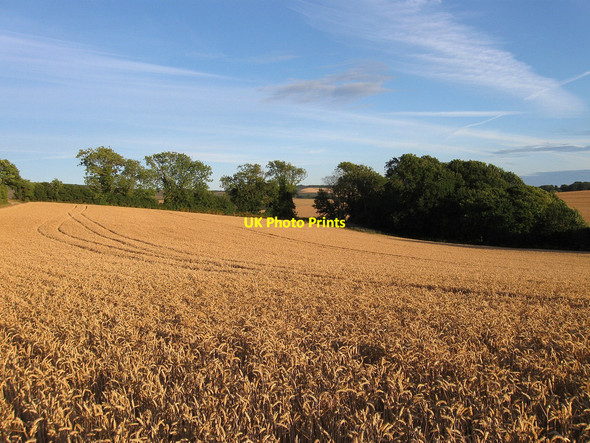 Photo 6"x4" Six Acres Alfriston c2010
