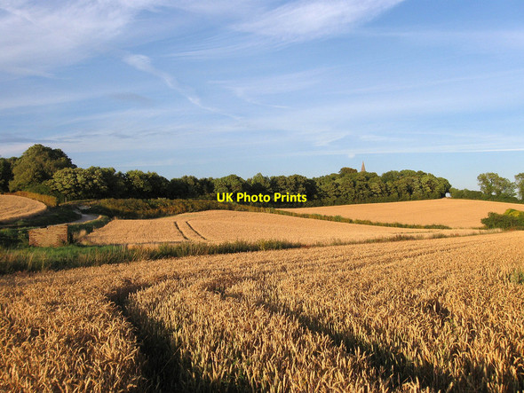 Photo 6"x4" Berwick Laine (5) Alfriston c2010