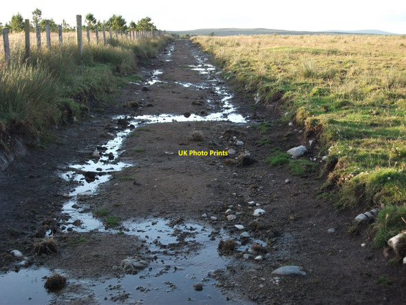 Photo 6"x4" Access track across the grazings Newmarket\/NB4235 c2010