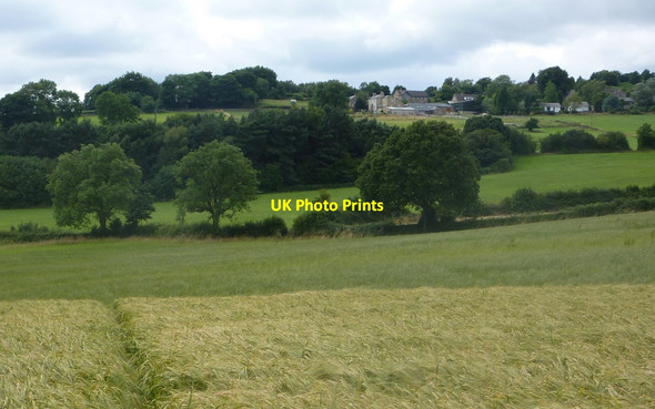 Photo 6"x4" Path through barley and hillside to Littlemoor Dalebank\/SK3661 c2010