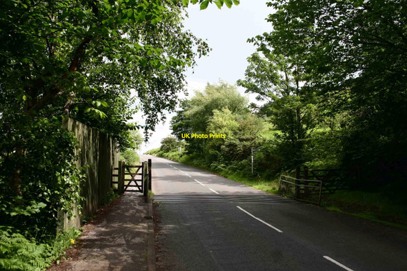 Photo 6"x4" Cattle Grid Ilkley c2010