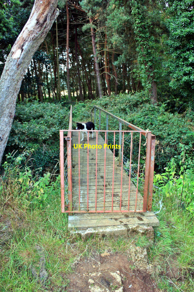 Photo 6"x4" Footbridge over the River Flit Westoning c2010