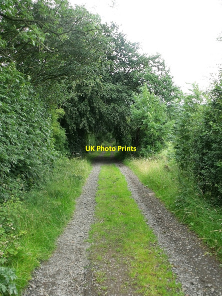 Photo 6"x4" The Tank Road, Kilsyth Kilsyth c2010