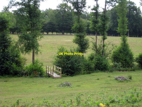 Photo 6"x4" Footpath from Tanyard Lane Furner's Green c2010
