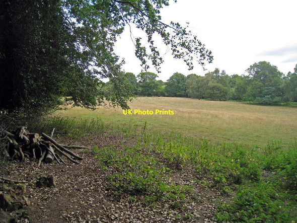 Photo 6"x4" Field off Tanyard Lane Chelwood Common c2010