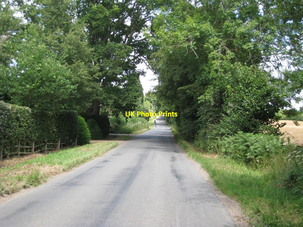 Photo 6"x4" Lane past Buckham Hill Farm Sharpsbridge c2010