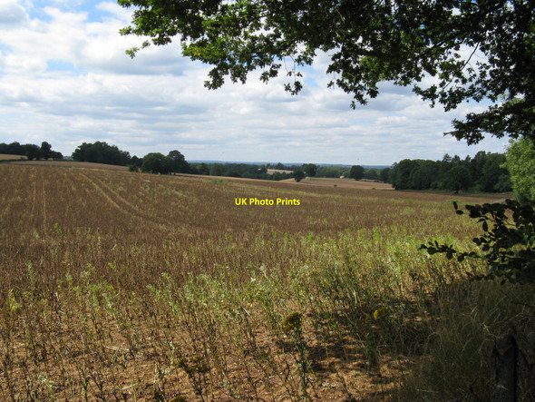 Photo 6"x4" View west from Vann Hill Hambledon\/SU9638 c2010