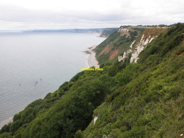 Photo 6"x4" Berry Cliff, near Branscombe Branscombe c2010