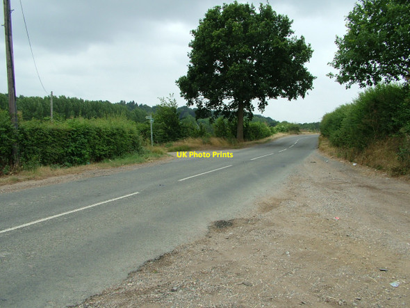 Photo 6"x4" Lane leading to Watersplace farm viewed from Harcamlow Way Ware\/TL3614 c2010