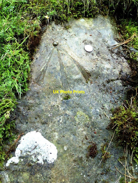 Photo 6"x4" Benchmark on rock Barbon c2010
