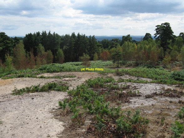Photo 6"x4" View south from Hydon's Ball Hambledon\/SU9638 c2010