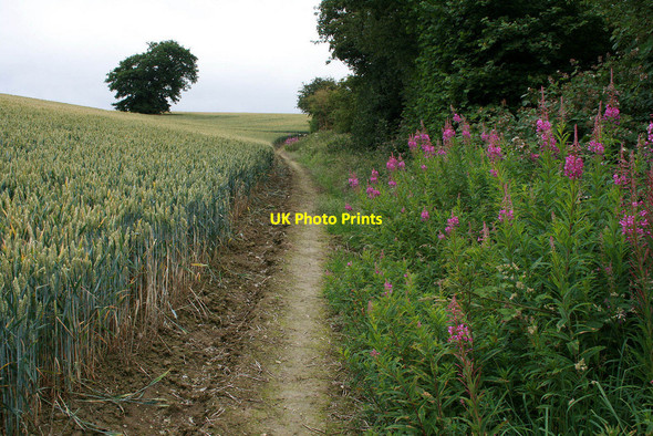 Photo 6"x4" The Shropshire Way Easthope c2010