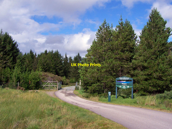 Photo 6"x4" Entrance to Kinloch Forest Drumfearn\/Druim Fhearna c2010
