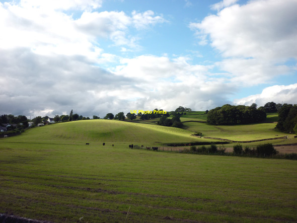 Photo 6"x4" Recently-cut grassland, Ings Ings c2010