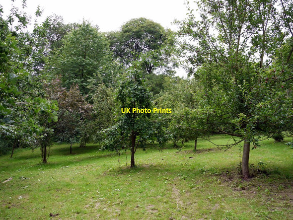 Photo 6"x4" Walbottle Community Orchard Ryton\/NZ1564 c2010