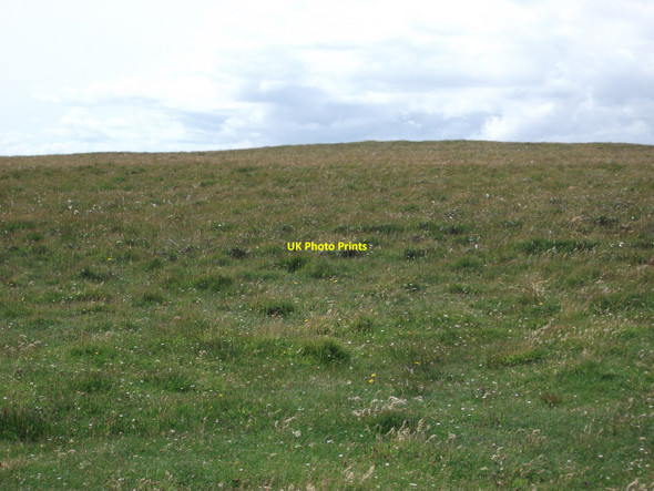 Photo 6"x4" Peat vegetation Tolstadh bho Thuath c2010