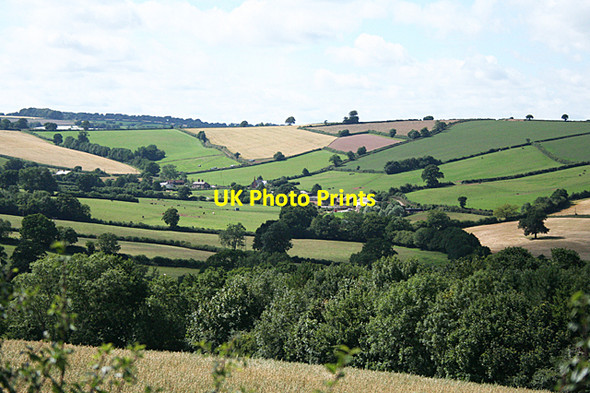 Photo 6"x4" Bradninch: towards Trinity Trinity\/SS9905 c2010