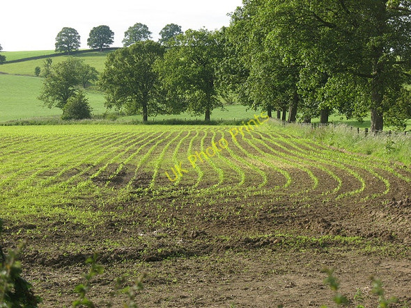 Photo 6"x4" Crops starting to show Broughton\/SD9451 c2009