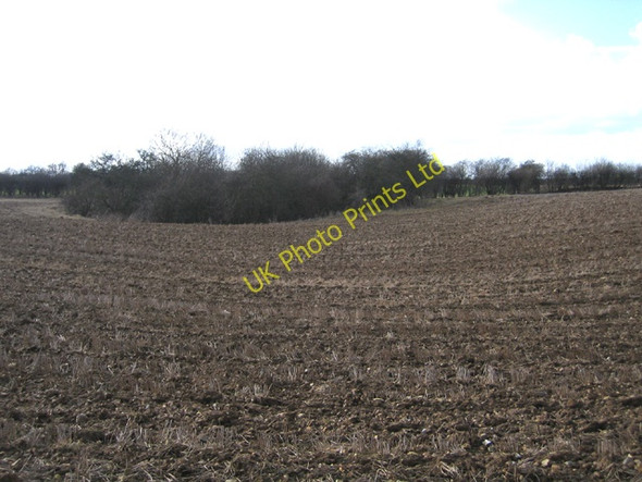 Photo 6"x4" Overgrown marlpit, Weasenham All Saints, Norfolk Weasenham All Saints c2006