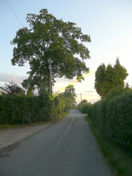 Photo 6"x4" Road to Weston Under Penyard Bromsash c2009