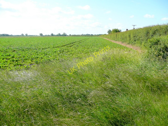 Photo 6"x4" Arable land by Sot's Hole Bank Holbeach St Matthew c2009