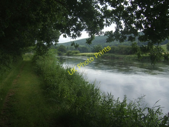 Photo 6"x4" Footpath beside the River Suir Kilsheelan c2009