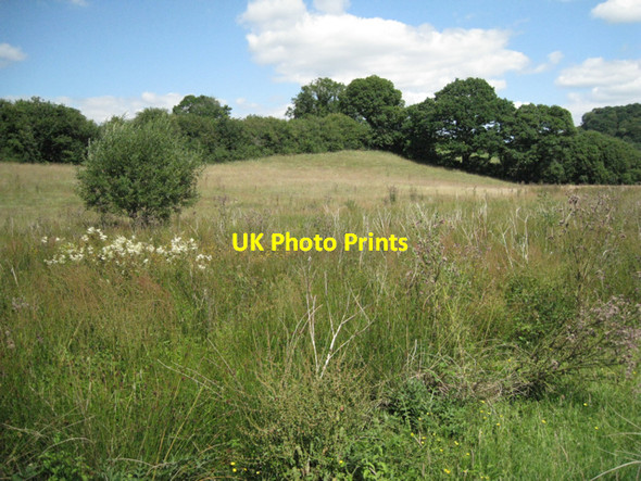 Photo 6"x4" Boggy ground near Beenleigh Brook Murtwell c2010