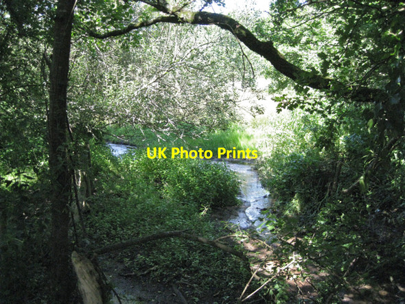 Photo 6"x4" Beenleigh Brook in summer Murtwell c2010