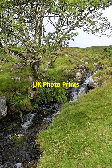 Photo 6"x4" Arm o' Grain Grainsgill Beck c2010