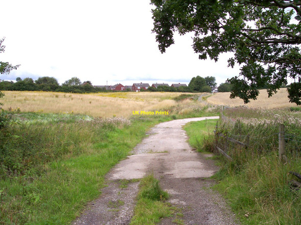Photo 6"x4" Farm track crosses brook near Bushel's Farm Bold Heath c2010