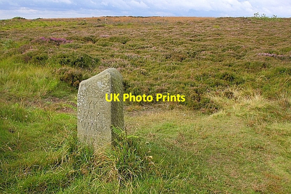 Photo 6"x4" Waymark, Ravenscar Hill Ravenscar c2010