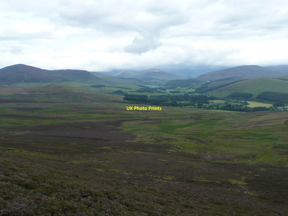 Photo 6"x4" Heathery northern slopes of Knockton Auchinleish c2010