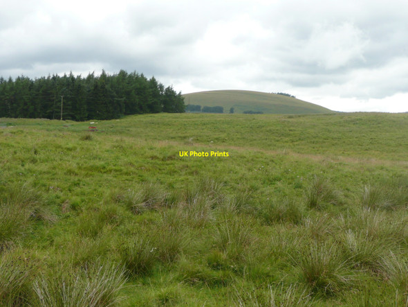 Photo 6"x4" Rough pasture at Newton of Bamff Bridge of Craigisla c2010