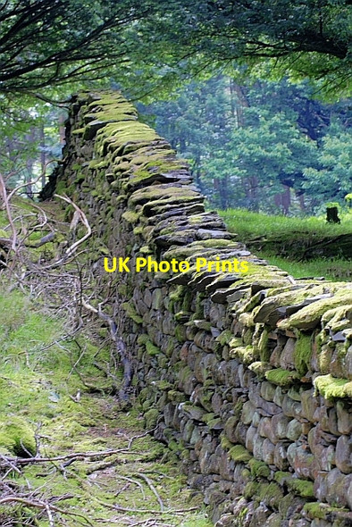 Photo 6"x4" Wall, Guards Wall Far End\/SD3098 c2010