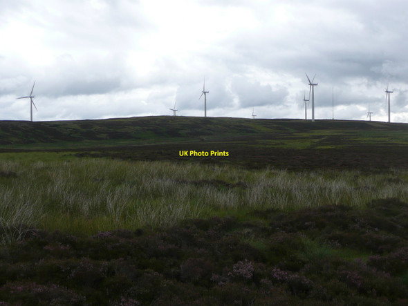 Photo 6"x4" Marshy moorland Netherton\/NO1452 c2010