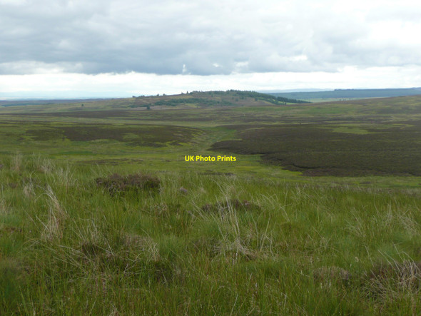 Photo 6"x4" Looking from Dun Moss down the Green Burn Netherton\/NO1452 c2010