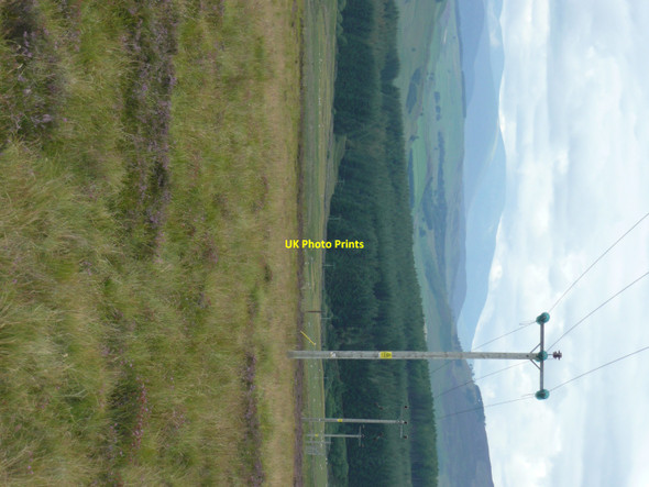 Photo 6"x4" Electricity poles Netherton\/NO1452 c2010