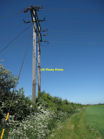 Photo 6"x4" Harcamlow Way Balsam c2010