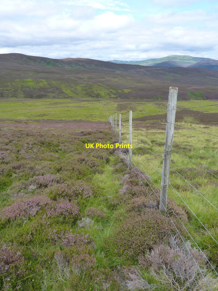 Photo 6"x4" A well maintained deer fence Inchmarnoch c2010