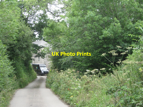 Photo 6"x4" Lane west of Wyses Englebourne Harberton c2010