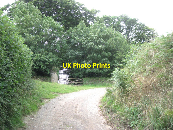 Photo 6"x4" Back gate to Great Englebourne Harberton c2010