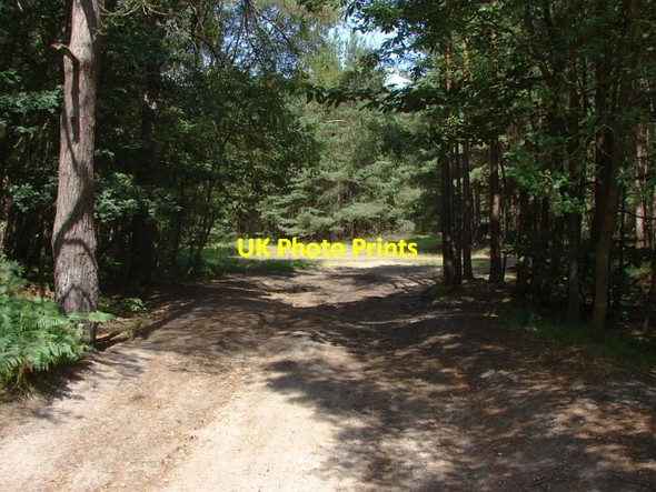 Photo 6"x4" MOD land, Deepcut Mytchett Place c2010