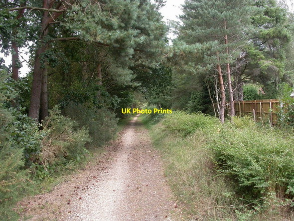 Photo 6"x4" Ashley Heath, trailway Ashley Heath\/SU1104 c2010