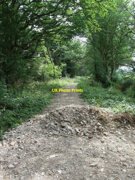 Photo 6"x4" Chalvington and Ripe Byway 33\/34 Chalvington c2010