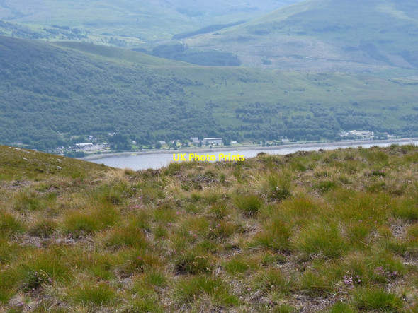 Photo 6"x4" Down hillside, Loch Linnhe beyond Stronchreggan c2010
