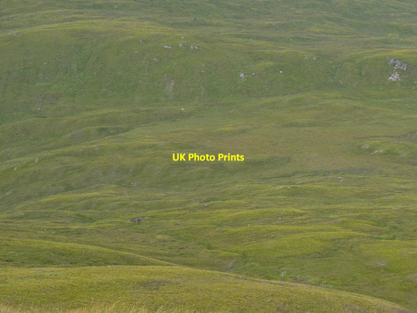 Photo 6"x4" Looking down onto Corran Dubh Trislaig c2010